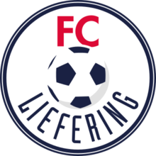 https://img.parisnihao.com/img/football/team/bfeb14c5a9727a76294491a2702f01a7.png